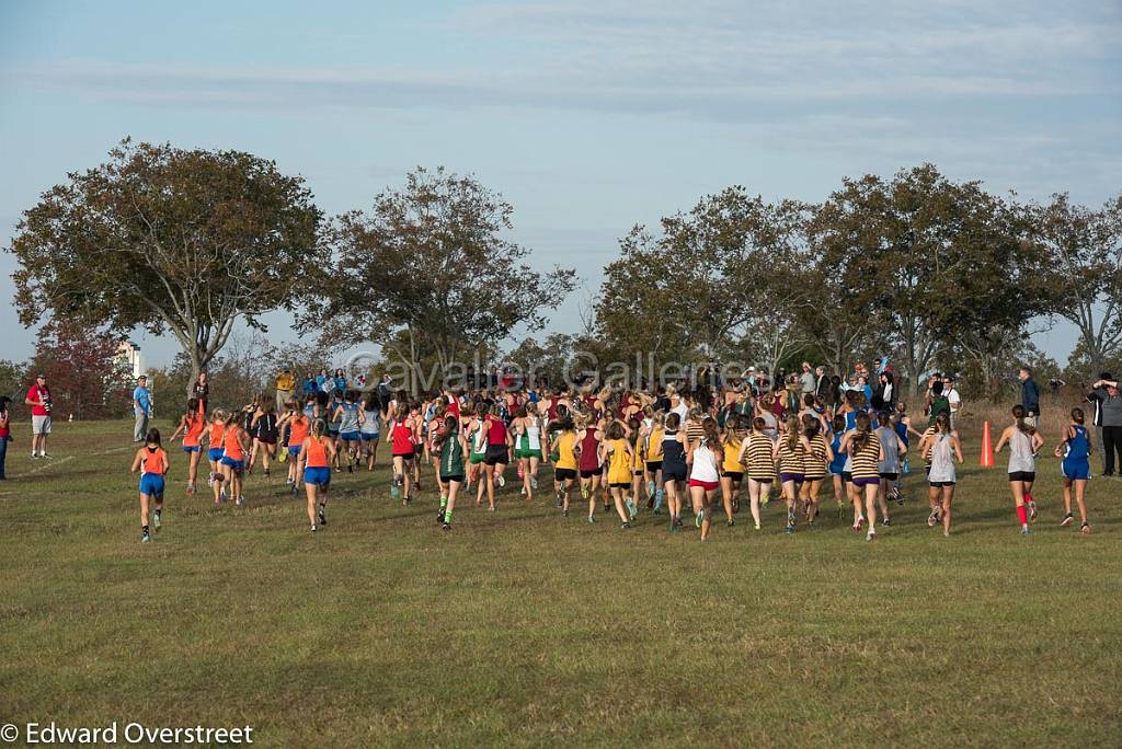 State_XC_11-4-17 -42.jpg